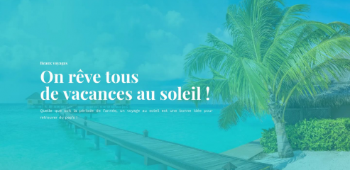 https://www.voyageausoleil.net